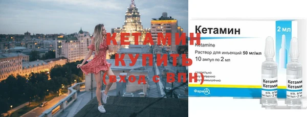 шишки Дмитровск