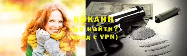 шишки Дмитровск