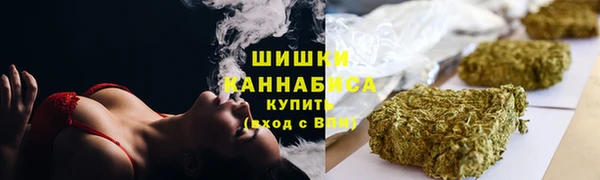 шишки Дмитровск