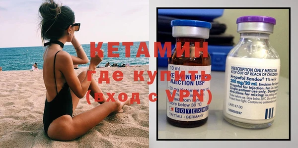 шишки Дмитровск