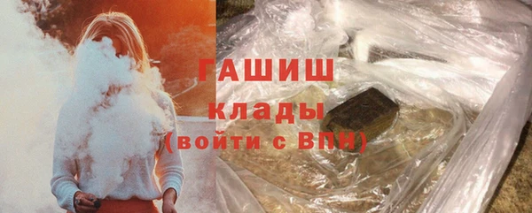 шишки Дмитровск
