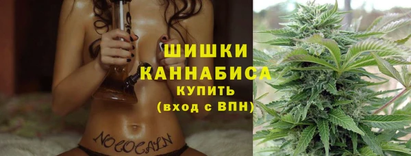 прущая мука Ельня