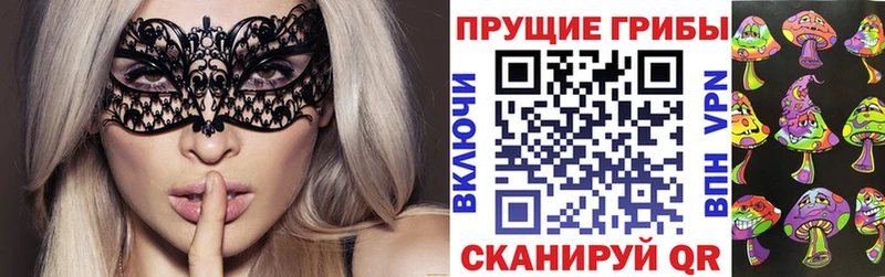 Псилоцибиновые грибы Psilocybine cubensis  Давлеканово 